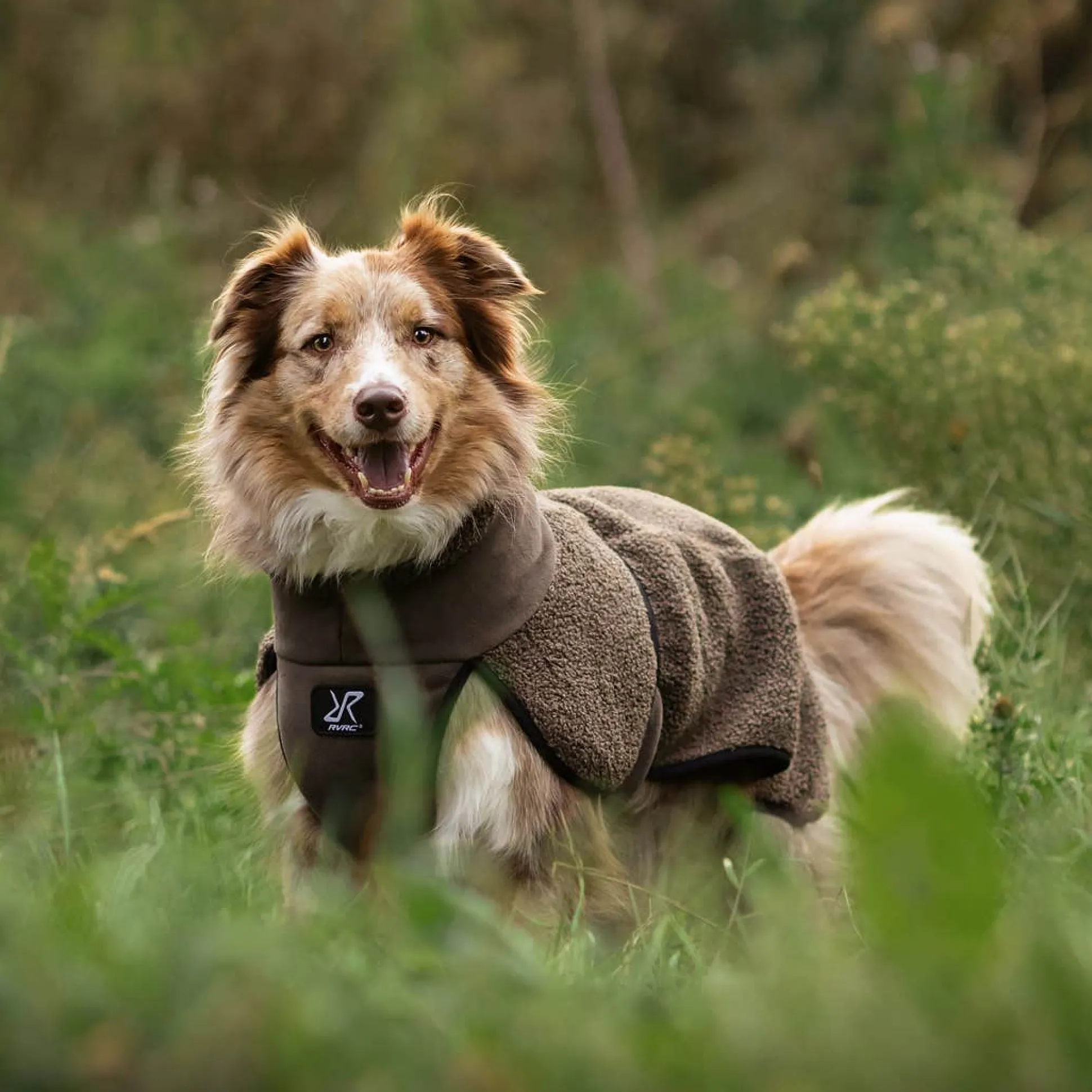 Bigfoot Dog Jacket Koira