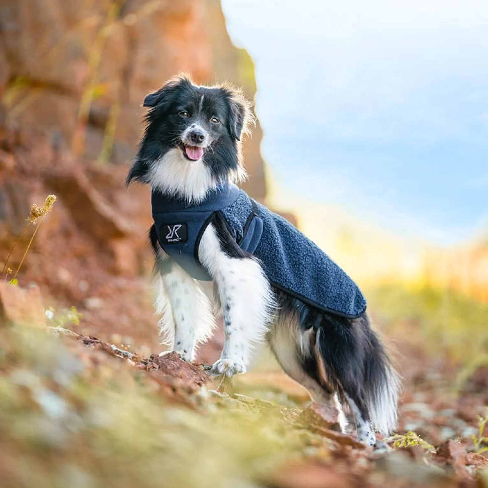 Bigfoot Dog Jacket Koira