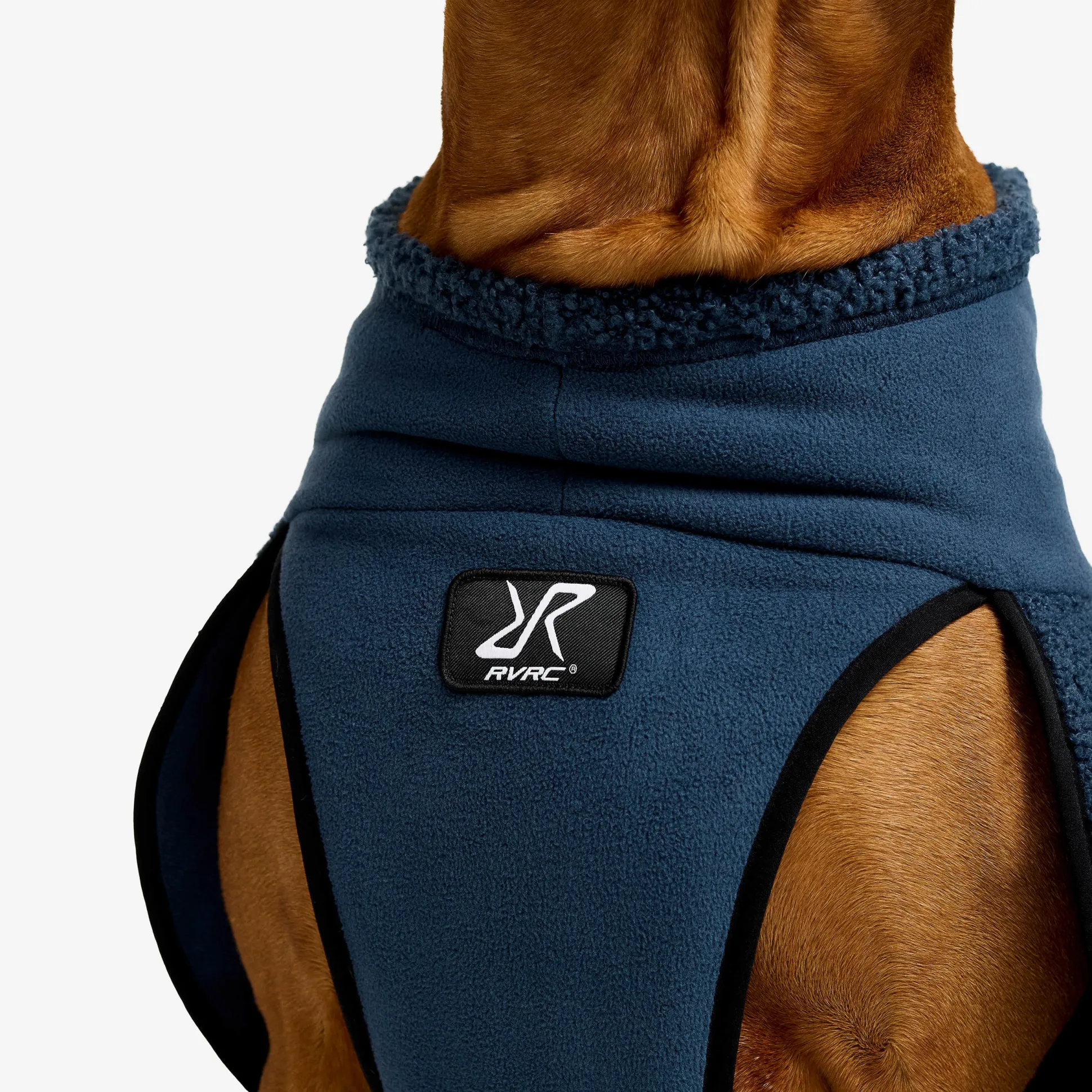 Bigfoot Dog Jacket Koira