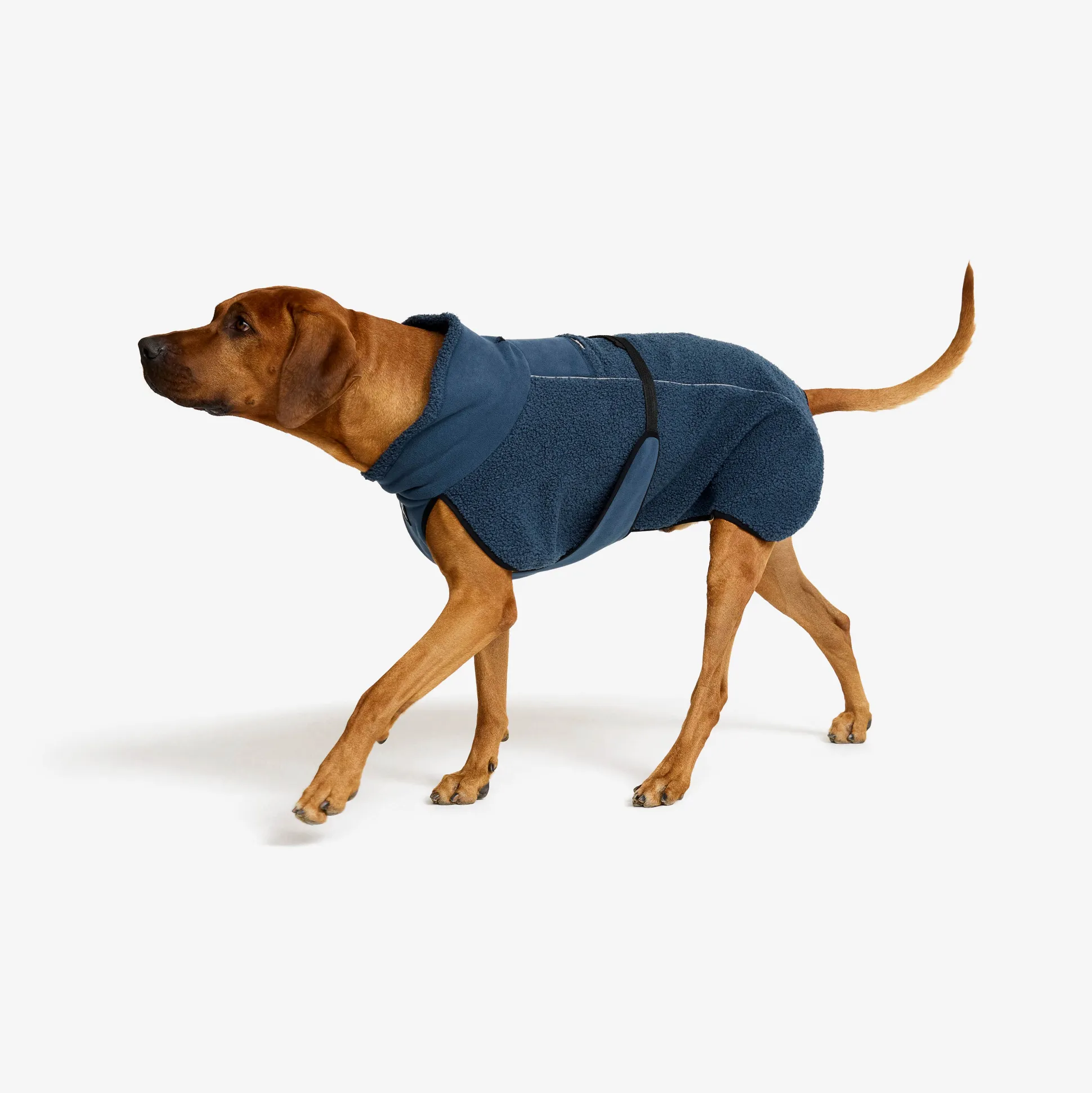 Bigfoot Dog Jacket Koira