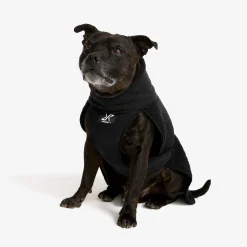 Bigfoot Dog Jacket Koira