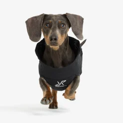 Cyclone Dog Jacket Koira