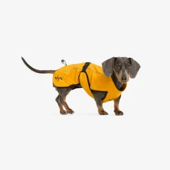 Cyclone Dog Jacket Koira
