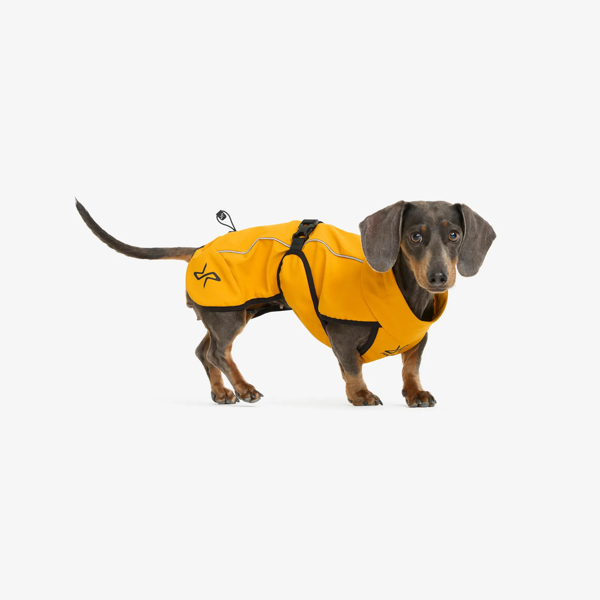 Cyclone Dog Jacket Koira
