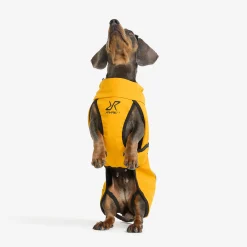 Cyclone Dog Jacket Koira