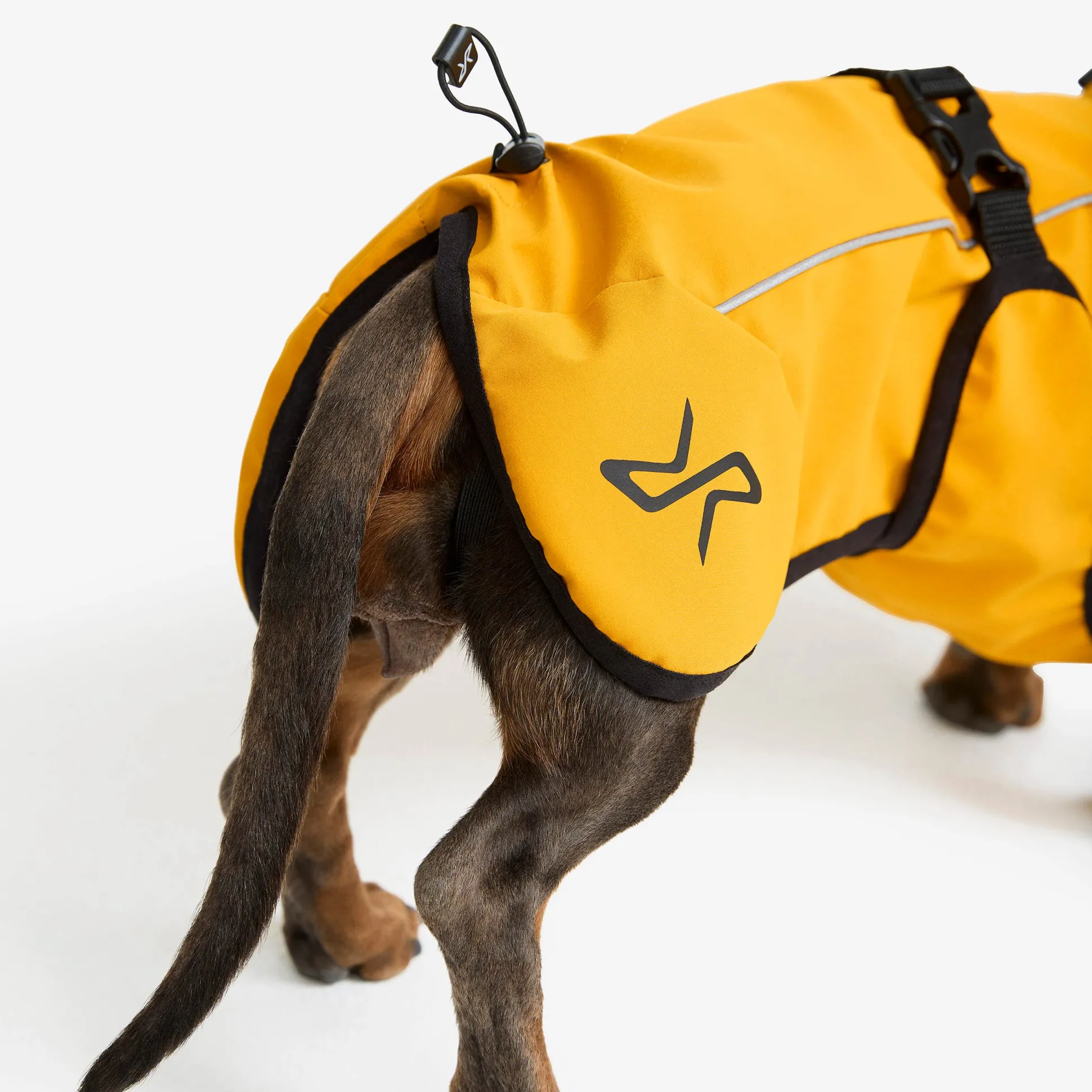Cyclone Dog Jacket Koira