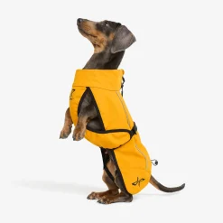 Cyclone Dog Jacket Koira
