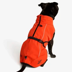 Cyclone Dog Jacket Koira