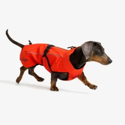Cyclone Dog Jacket Koira