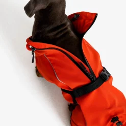 Cyclone Dog Jacket Koira