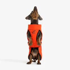 Cyclone Dog Jacket Koira