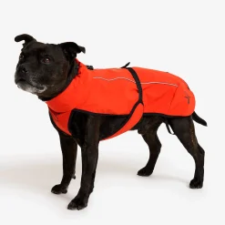 Cyclone Dog Jacket Koira