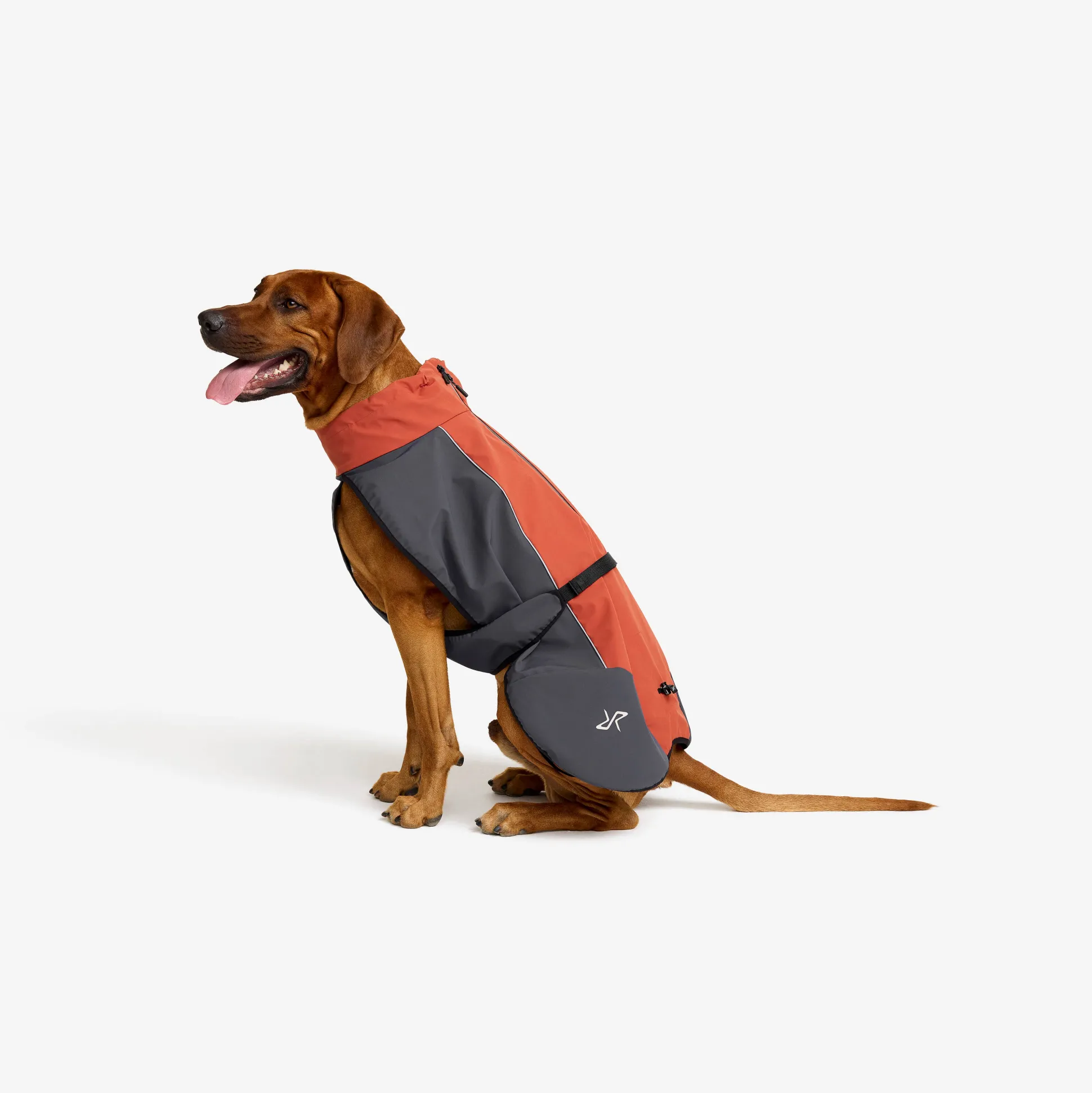 Cyclone Dog Jacket Koira