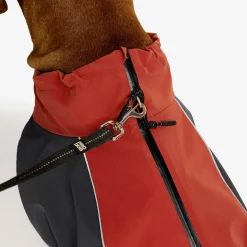 Cyclone Dog Jacket Koira