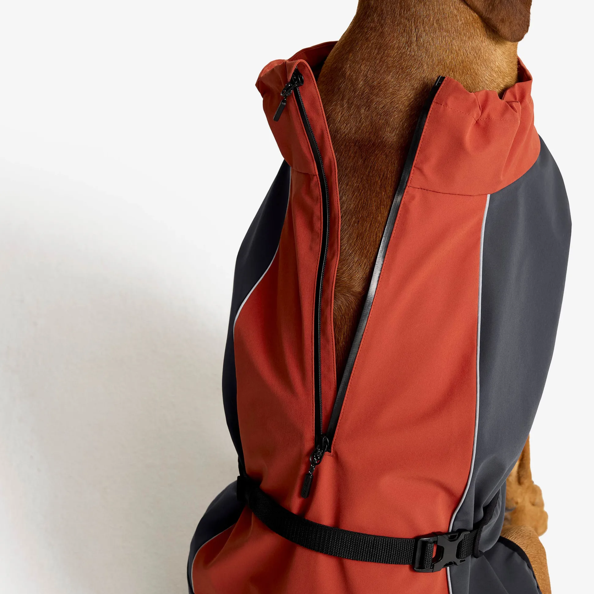 Cyclone Dog Jacket Koira