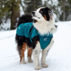 Cyclone Dog Jacket Koira