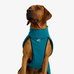 Cyclone Dog Jacket Koira