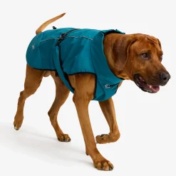 Cyclone Dog Jacket Koira
