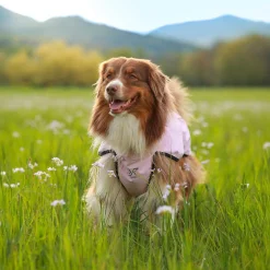 Cyclone Dog Jacket Koira